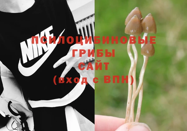 ешки Балахна
